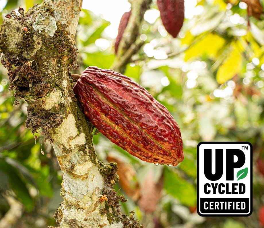 Jeff de Bruges Introducing Cacaofruit Jellies | Cabosse Naturals